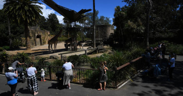 Zoos understaffed as workers protest Vic wage policy