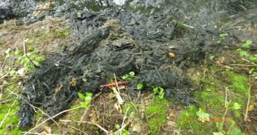 More than 3,000 storm overflows regularly dumped sewage into waterways last year