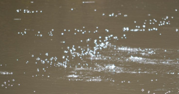 Methane worry for Qld river 'bubbling like a broth'