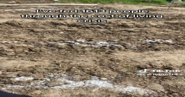 Police investigation opens into viral allotment which was vandalised with salt