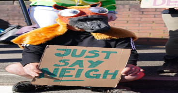 Nine arrested after protesters delay Grand National by getting onto track