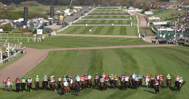 Campaigners call for jump racing ban after three horses die at Aintree