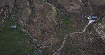  Conservationists set to begin creating England’s largest native woodland 