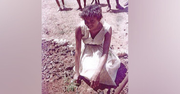 $50m payment to stolen generation families approved