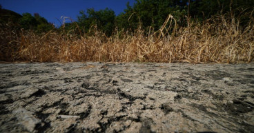 Future buildings may need to be designed to cool down better, says Met Eireann