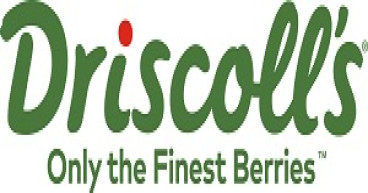 Soren Bjorn Named CEO of Driscoll’s