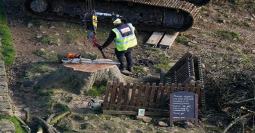  Crane lifts Sycamore Gap landmark tree after felling ‘prolonged its life’ 