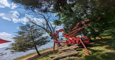 Environmental Advantage & Tree Leads Today Forge Game-Changing Partnership, Fueling Remarkable Growth