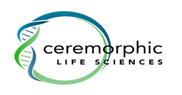 Ceremorphic Announces New Life Sciences Division with New Design Methodology Based on Its Proprietary Analog and AI Technology That Can Significantly Reduce R&D Costs