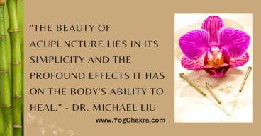 Acupuncture for Athletes: Enhancing Performance and Recovery