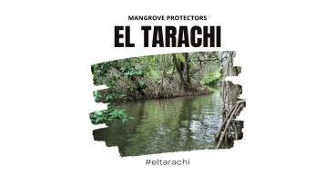 Reforestation and Community Resilience Project in Ejido El Tarachi, Acula, Veracruz, Mexico: Seeking Financial Support
