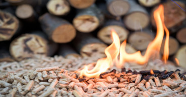 European pellet production faces raw material roadblocks despite soaring demand