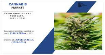 Cannabis Industry Size Is Likely To Reach a Valuation of Around $148.9 Billion by 2031