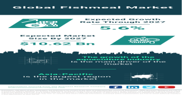 Fishmeal Market Size, Share, Revenue, Trends And Drivers For 2023-2032