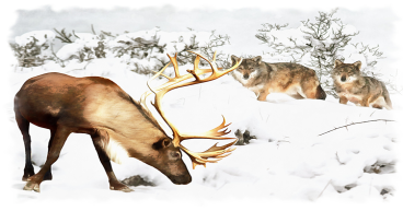 Give the Gift of Knowledge. FREE award-winning Rudi Caribou Kindle picturebook from Critteraweek now thru Friday Dec. 1.