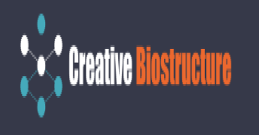 Creative Biostructure Enhanced Its Cryo-EM Services for Advanced Structural Analysis