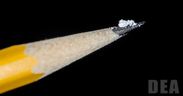 Foundation for a Drug-Free World helps combat the rise in opioid and fentanyl-related overdose deaths with education