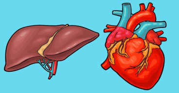 Transthyretin Amyloidosis Treatment Market will generate new growth opportunities 2023-2030 | Coherent Market Insights