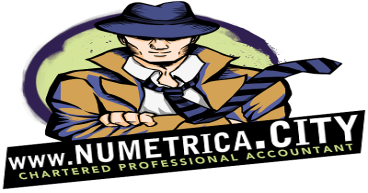 Numetrica Earns Prestigious Recognition as a Wagepoint Top 100 Partner