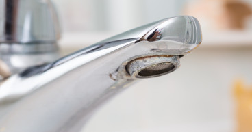 Hard Water Issues in Louisiana Households: A Deep Dive into Prevalence, Effects, and Solutions