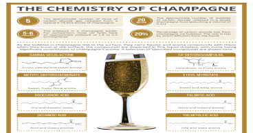 Champagne Market Striking 3.2% CAGR During 2018 to 2026 | Trends for economy segment growing at significant CAGR of 3.3%