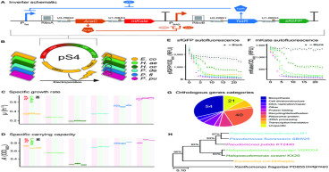 Decoding The ‘Chassis Effect”: Host Physiology Emerges as Key Predictor