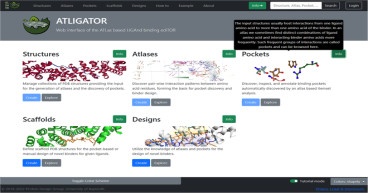 A Novel Web Platform Enables Intuitive Protein Design