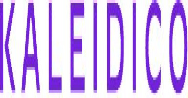 Kaleidico Shares 11 Best Law Firm Agencies to Hire in 2024