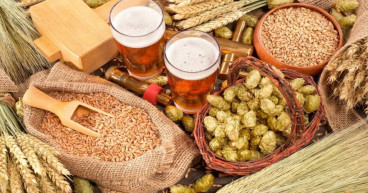 Malt Ingredient Market Prospects: Identifying Growth Drivers and Picturing the Future Landscape by 2023-2030