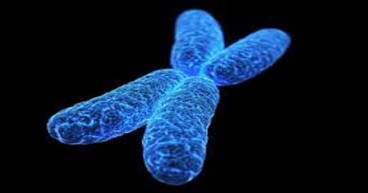 Hunter Syndrome Market to Reach US$ 1,152.5 Million by 2033, at CAGR of 4.61% from 2023 to 2033