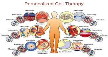  Personalized Cell Therapy Market Enhancement in Various Sector 2023 to 2030 | Bellicum Pharmaceuticals, Inc 