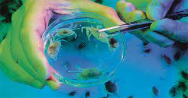  Marine Biotechnology Market - Latest Updates with Market Exhaustive Survey And Demand Forecast by 2030 