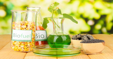 Europe Advanced Biodiesel Market Report 2023: Industry Trends, Demand, Growth Rate, and Forecast Until 2030