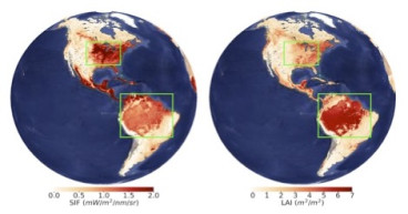 Shadows & Greenness: Uncovering Satellite Biases in Viewing Earth’s Vegetation