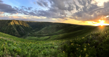 Scotlyn Ranch: The Ultimate Billionaire's Survival Retreat Amidst Global Uncertainty