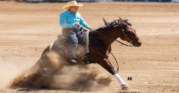 Horse Returns to Competition After Treatment with VetStem Cell Therapy