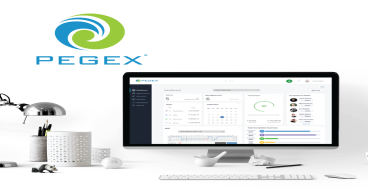 PegEx Unveils PegEx Lite Software