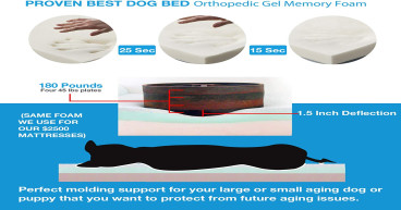 Back Support Systens Offers 20% Off High Quality Dog Beds