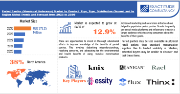 Period Panties (Menstrual Underwear) Market Size to Worth USD 373.35 million by 2030| With a 12.9% CAGR