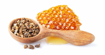 Bee Propolis Extract Market Study 2023: Industry Size, Emerging Trend, Key Players and Forecast Till 2031 | Comvita