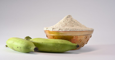 Banana Powder Manufacturing Plant Project Report 2024, Business Plan, Manufacturing Process, Raw Materials