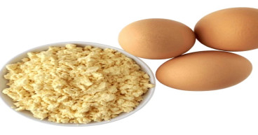 Whole Egg Powder Manufacturing Plant Project Report 2024: Manufacturing Process, Business Plan, Machinery Requirement