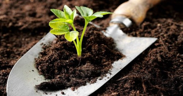 Organic Fertilizer Manufacturing Plant Project Report 2024: Raw Materials Requirement, Plant Cost and Revenue