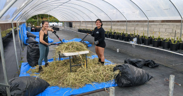 Simonpietri Enterprises Awarded Federal Grant to Make Fertilizer from Fire-Prone Invasive Plants
