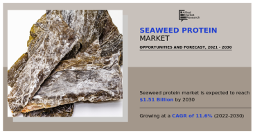 Seaweed Protein Market to Reach $1.51 Billion by 2030, Fueled by Growing Health Awareness and Nutritional Demand.