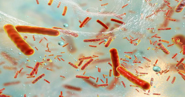 Septic Shock Market is Projected to Grow at a CAGR of 6.53% from 2024-2034 | IMARC Group