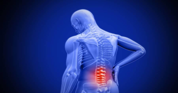 Low Back Pain Market Size, Trends, Industry Statistics and Latest Insights Till 2034