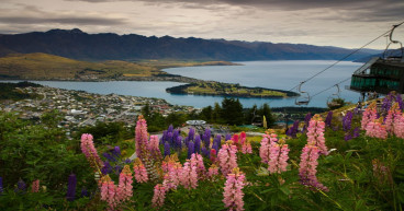 New Zealand Rent A Car Queenstown Offers Peace of Mind for Summer Holidaymakers