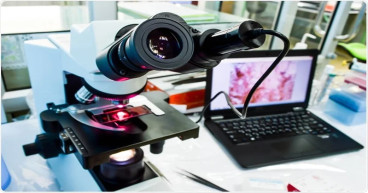 Digital Pathology Market Report Explored in Latest Research to 2031 | Olympus Corporation