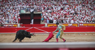 MadridBullFighting complements its offer with flamenco shows and tours around Madrid